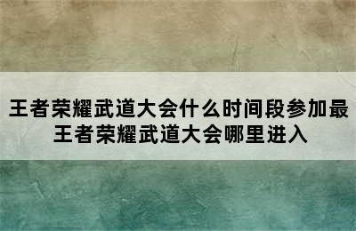 王者荣耀武道大会什么时间段参加最 王者荣耀武道大会哪里进入